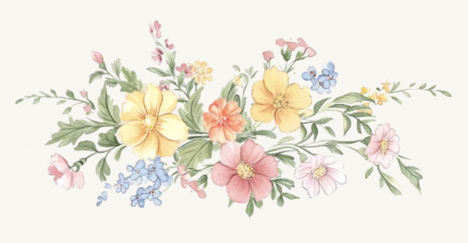 The Wedding Website of Sarah Napier and Andrew Sites