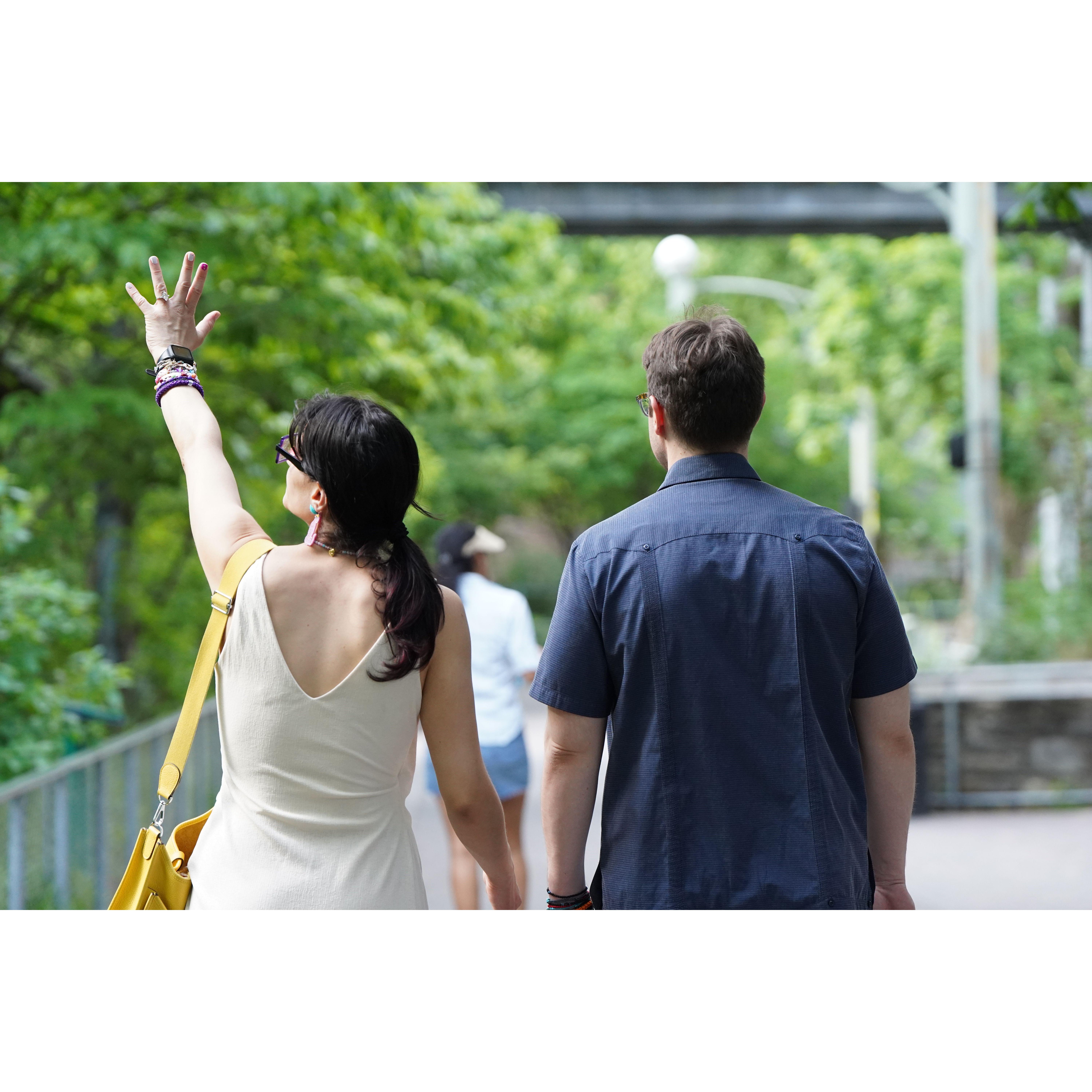 In the middle of the wild — a stillness, a question, a yes.