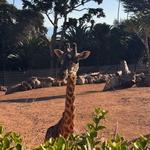Santa Ana Zoo