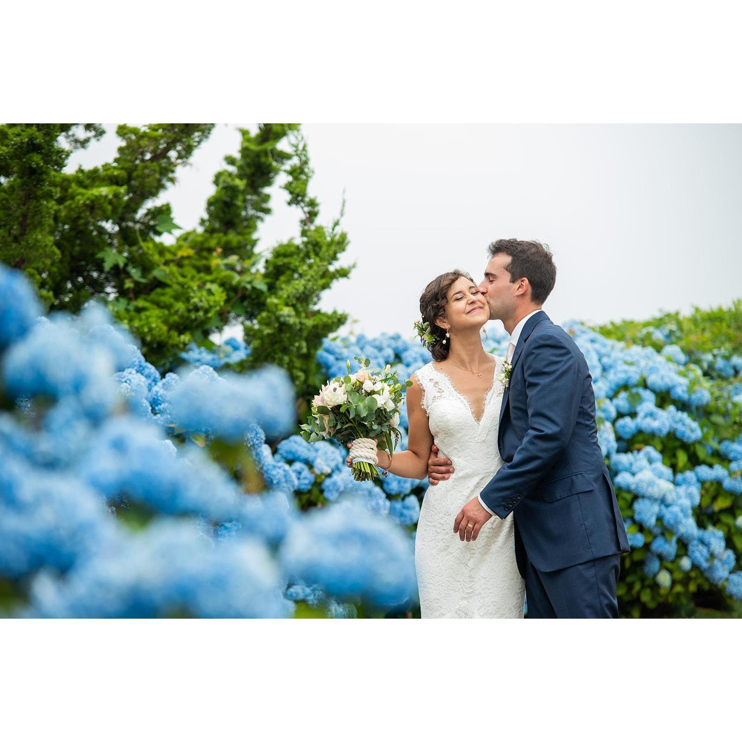 Hydrangeas all around the Castle Hill Inn property!