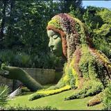 Atlanta Botanical Garden