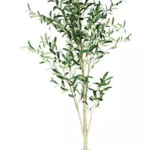 Olive Tree In Black Pot | Hobby Lobby | 2130250
