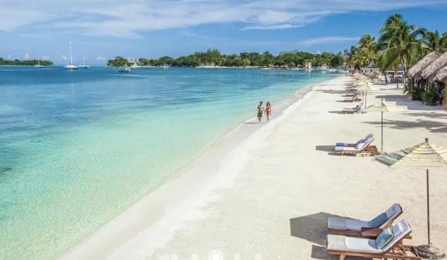 5d640339-a7b7-476f-92b3-56429e798b24