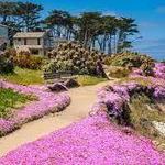 Pacific Grove