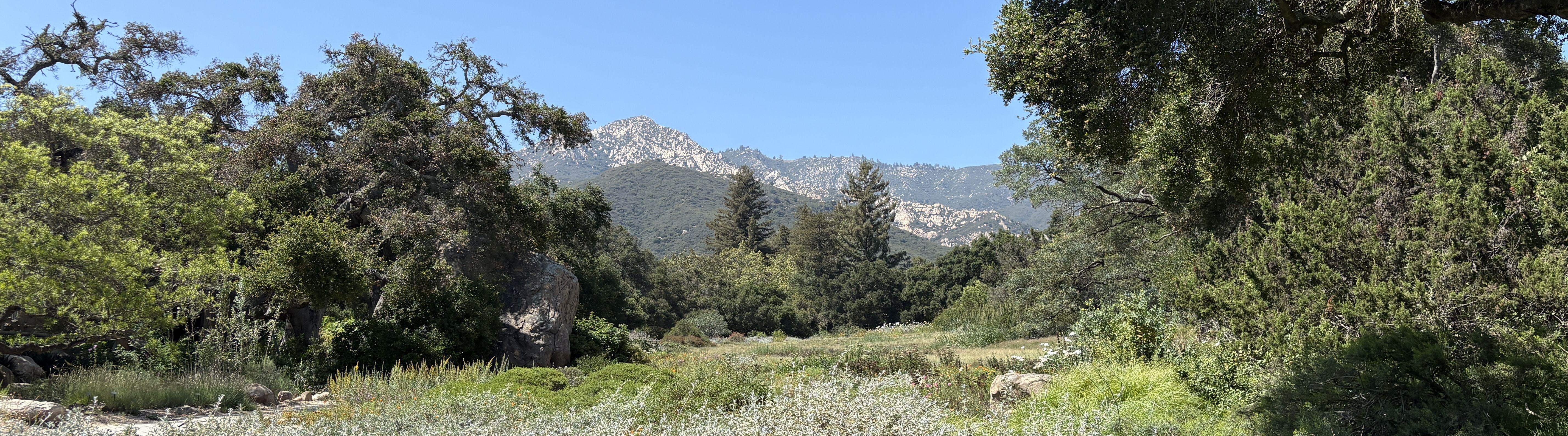 5d656943-c839-45ec-8b9a-2a51aec6aa46