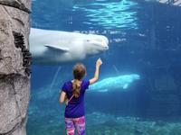 Mystic Aquarium