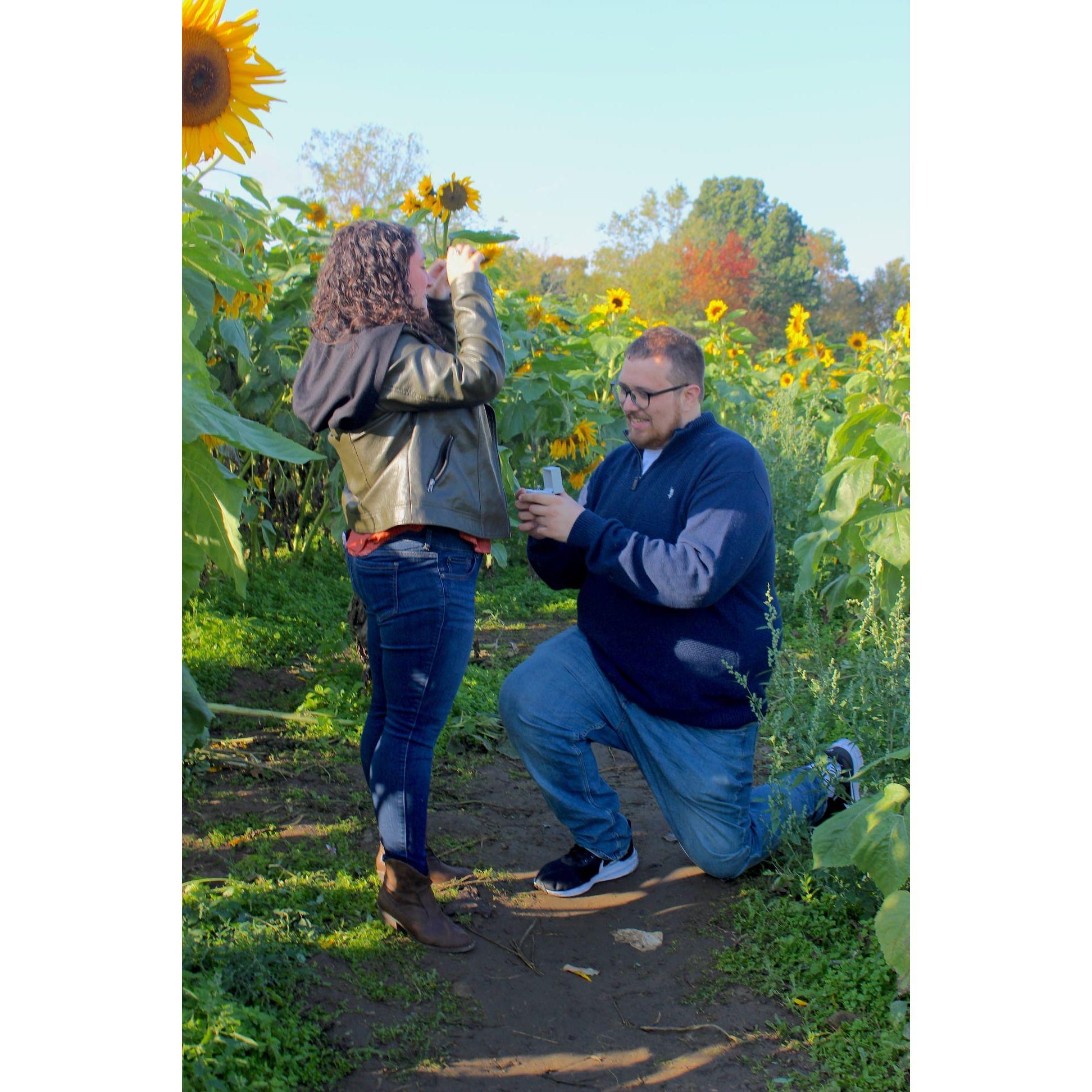 Taken at Outhouse Orchards North Salem, NY
Photos by Heather Temple