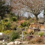 UC Santa Cruz Arboretum & Botanic Garden