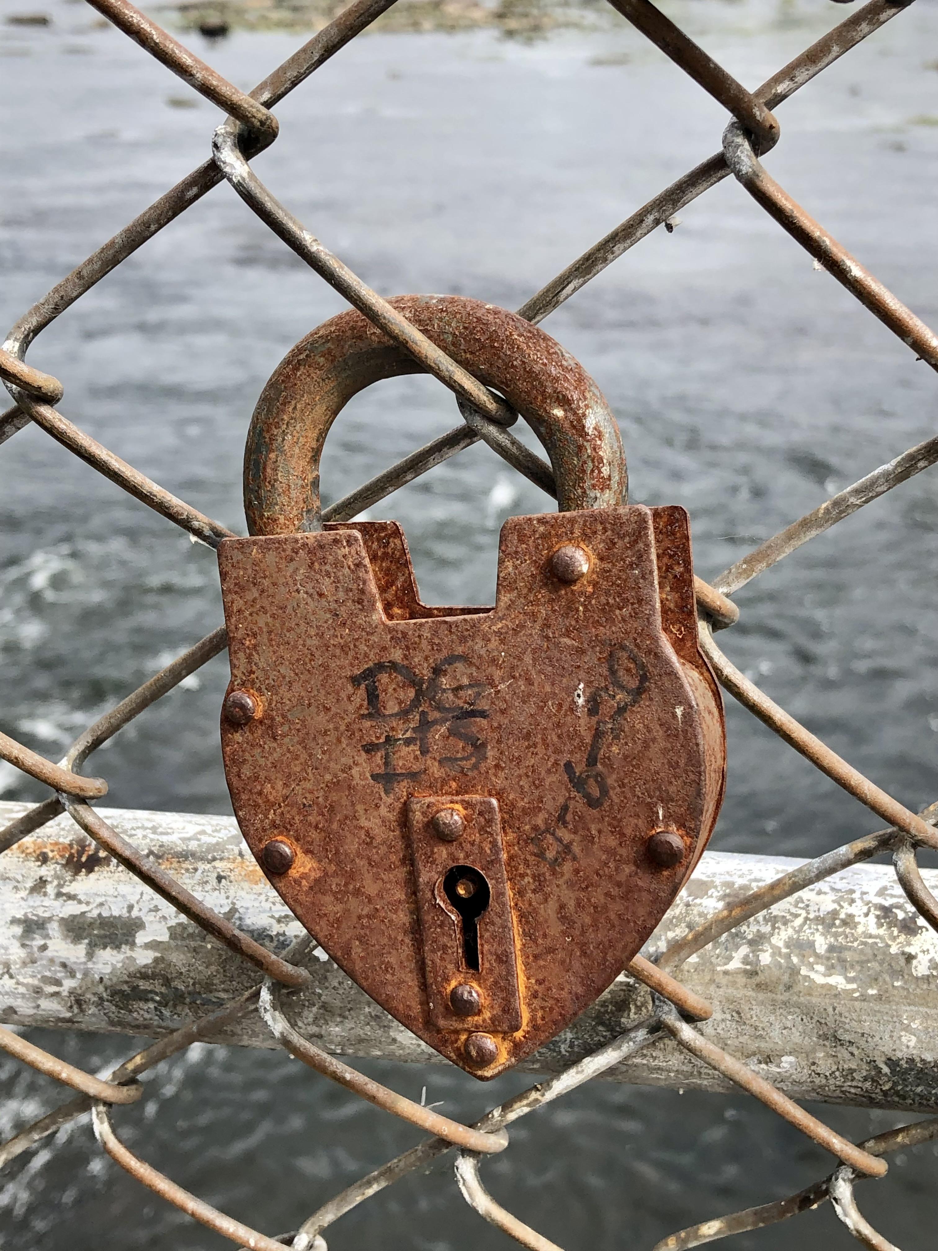 The Wedding Website of Ilana Stollman and David Graveen