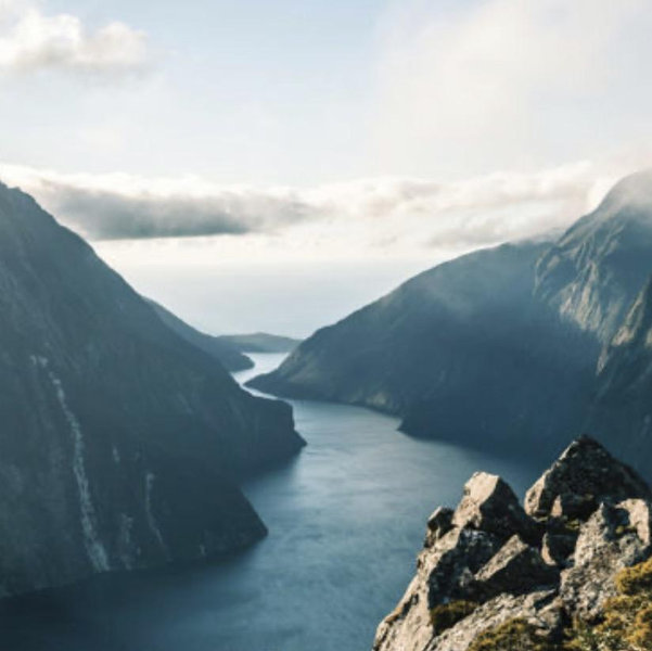 Milford Sound Tour