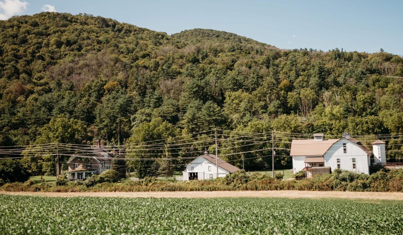 The Wedding Website of Chase Rohrer and Lindsey Schoch