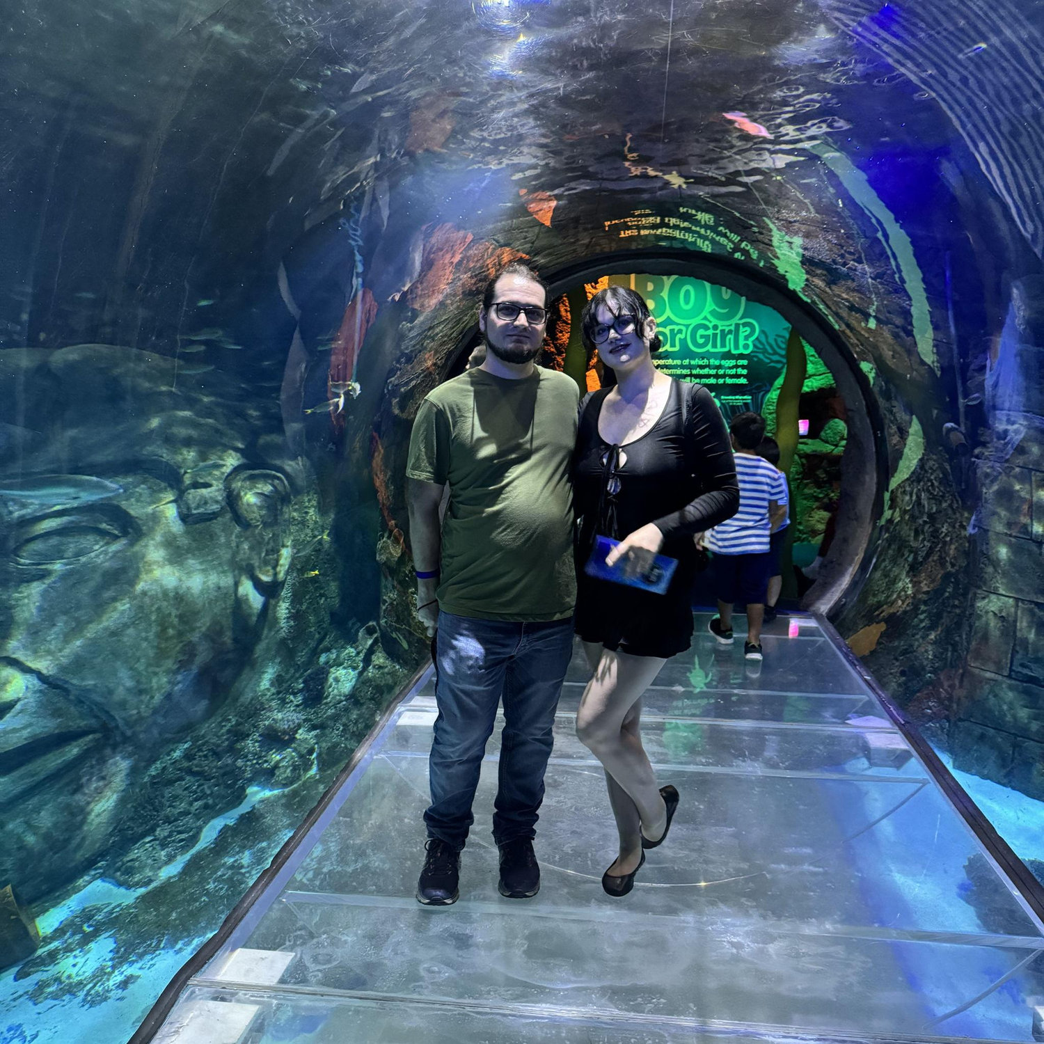 Aquarium in Orlando 2024