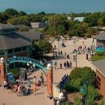 Toledo Zoo