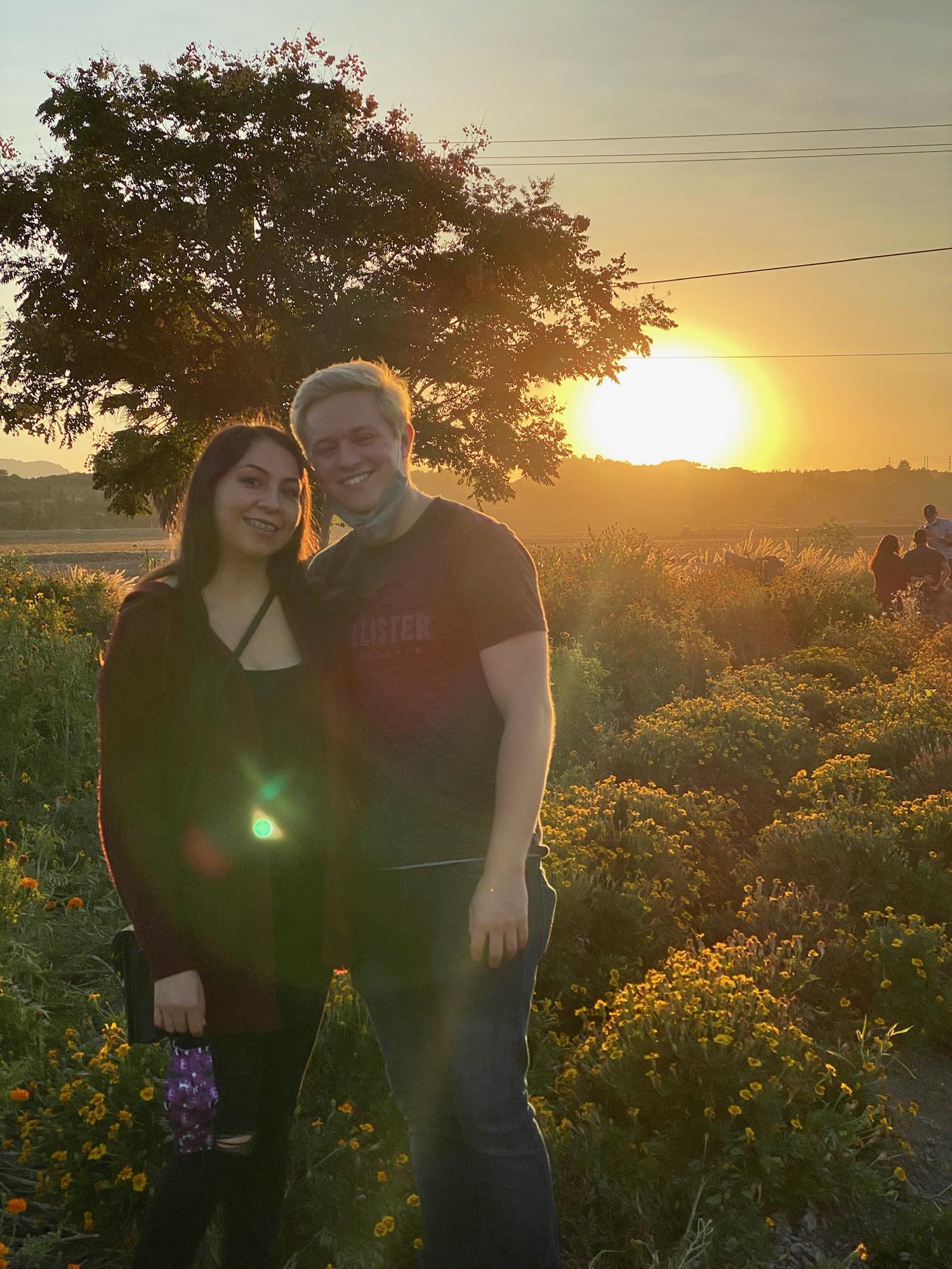 pumpkin patch, 2020