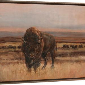 Buffalo Canvas