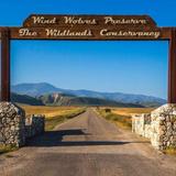 Wind Wolves Preserve Wildflower Loop Trail