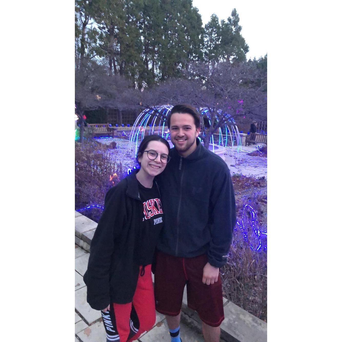 Illuminations at Botanica, 2018