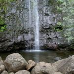 Manoa Falls