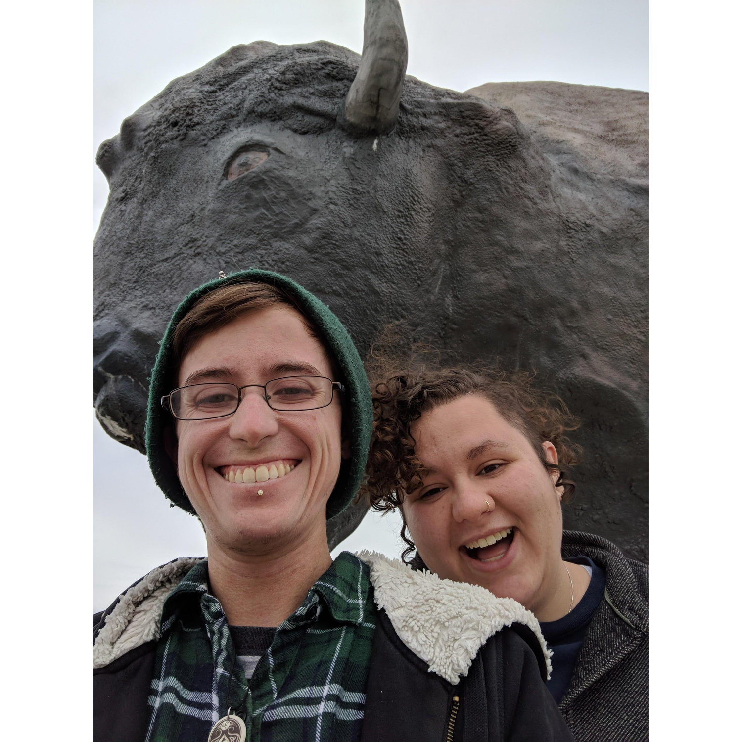 Giant buffalo outside of Fargo ND