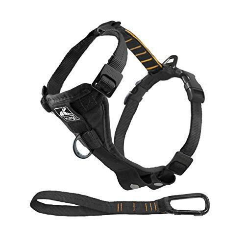 Kurgo Dog Harness | Pet Walking Harness | Car Harness for Dogs | Front D-Ring for No Pull Training | Includes Dog Seat Belt Tether | Tru-Fit Smart Harness | For Small, Medium, & Large Dogs