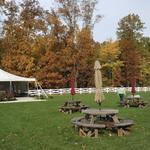Paper Moon Vineyards & Winery