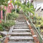 99 Steps