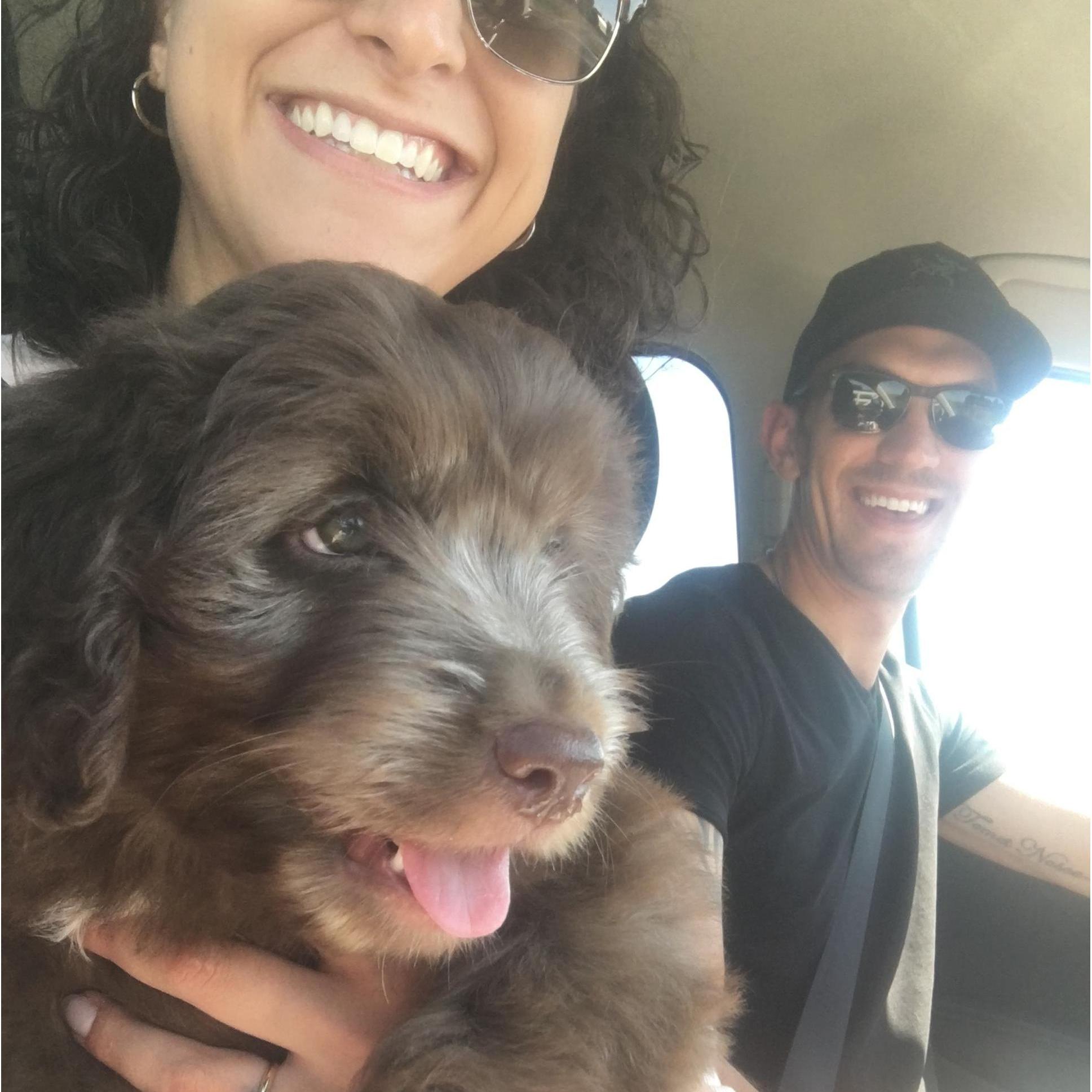 First day with Millie! Driving back home from picking her up in Indiana.