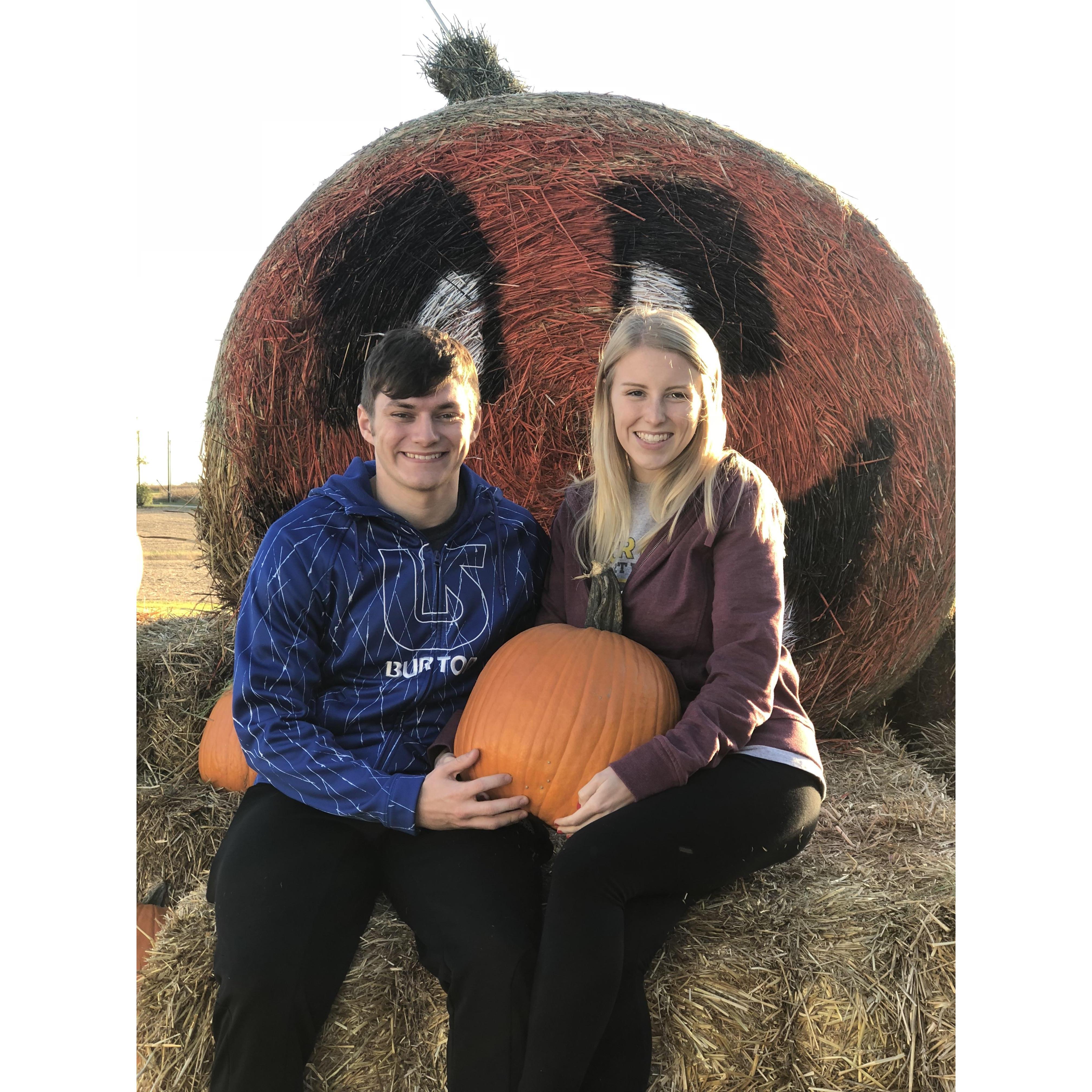 Picking pumpkins from the patch