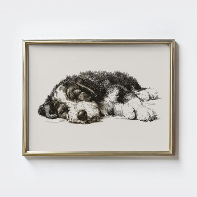 Bernedoodle Sketch Art Print: Vintage Style Dog Portrait (Digital Download)