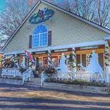 The Bird Store and More