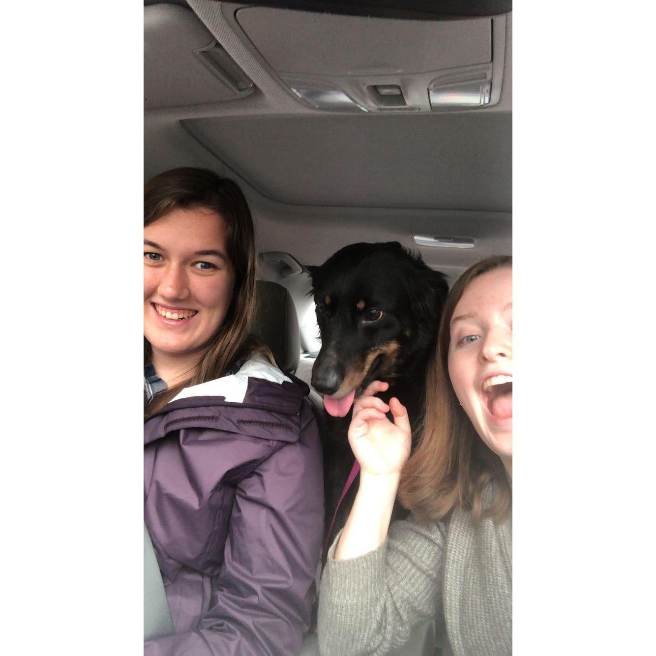 Lauren moved back to Nashville in January 2019 and Kelly helped her find and adopt Allie a few weeks later. Best day ever (till the wedding)!