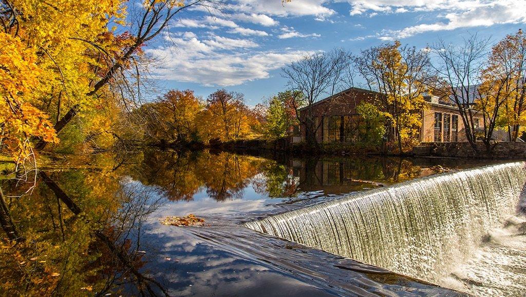 The Wedding Website of Adam Frank and Julia Chatzky