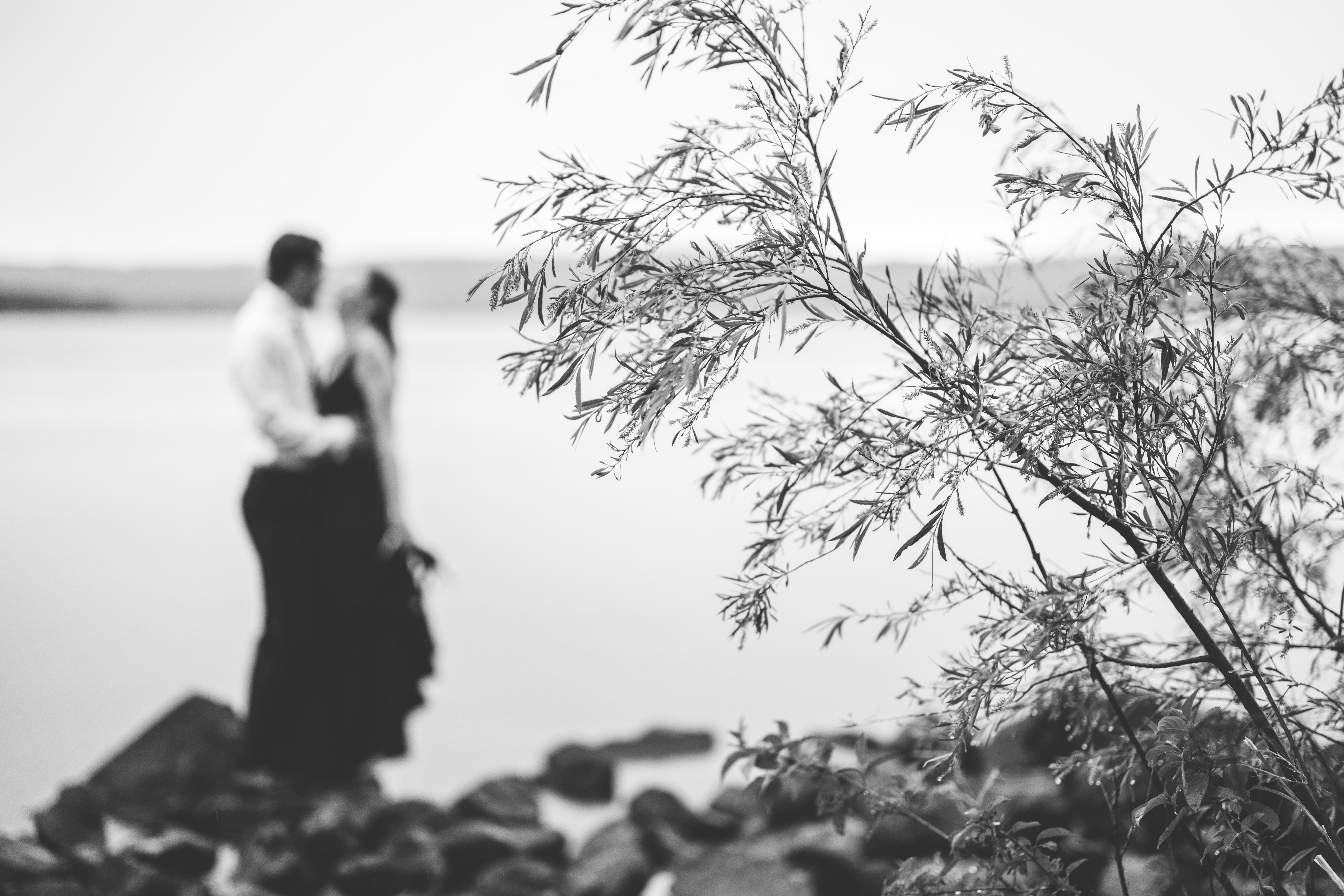 The Wedding Website of Madeline Stauber and Tommy Sola