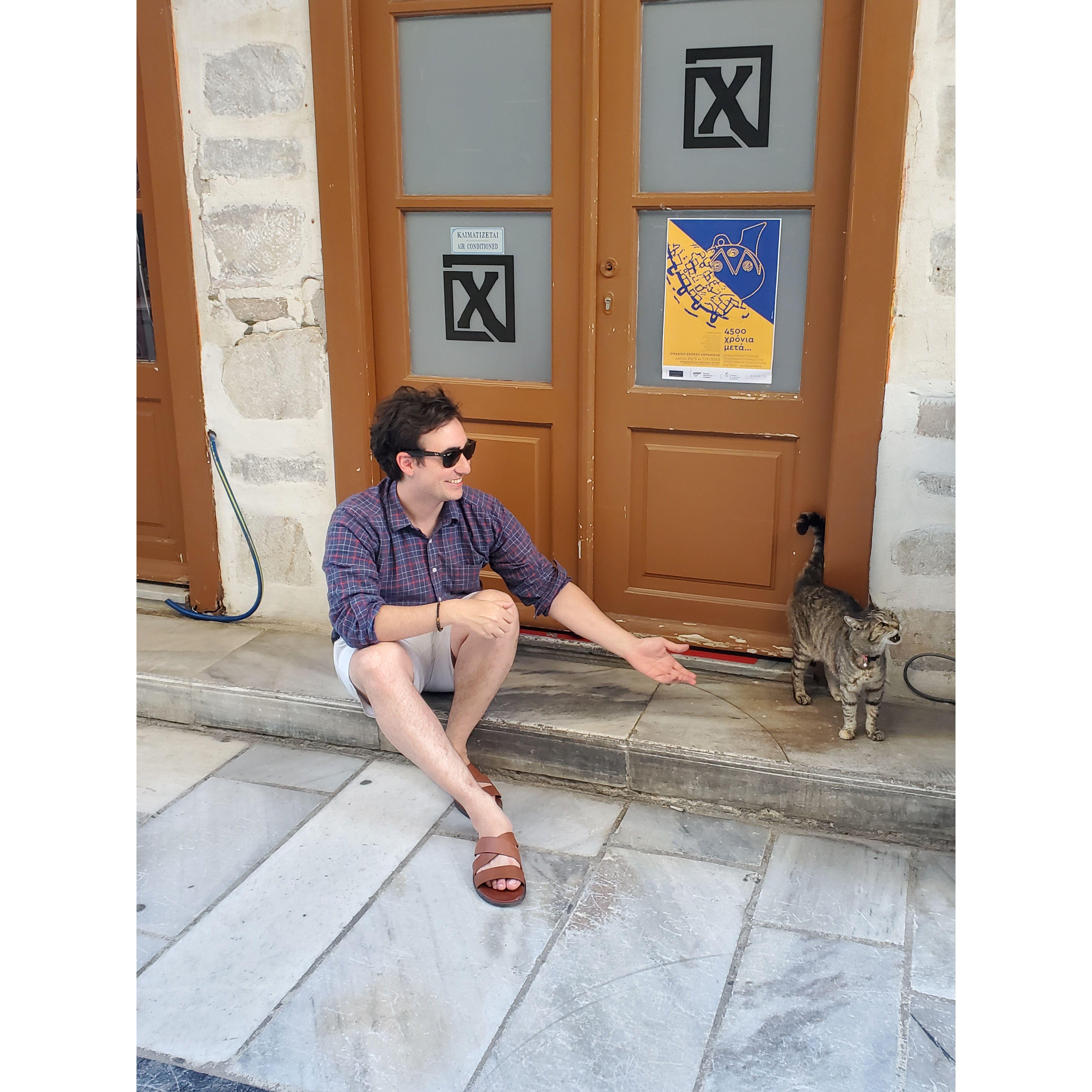 Alley cats, Greece