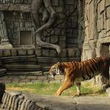 Tulsa Zoo