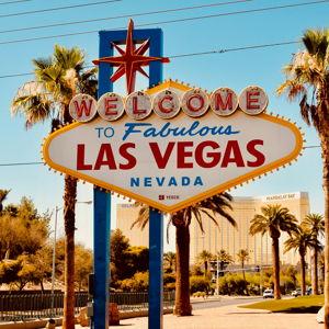 Vegas Newlywed Adventure Fund