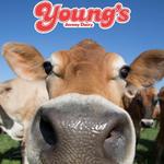 Young's Jersey Dairy