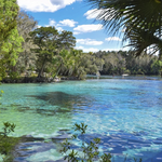 Silver Glen Springs Recreation Area