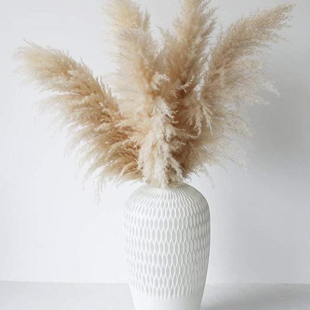 Large Pampas Grass - 3 Stems 48" Natural Dried Tall Pampas Grass (Beige) for Flower Arrangements Wedding Decor (4FT) - Fluffy Natural Pampas Boho Home Decor