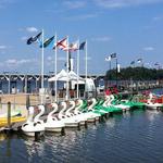 Paddle Boating at National Harbor