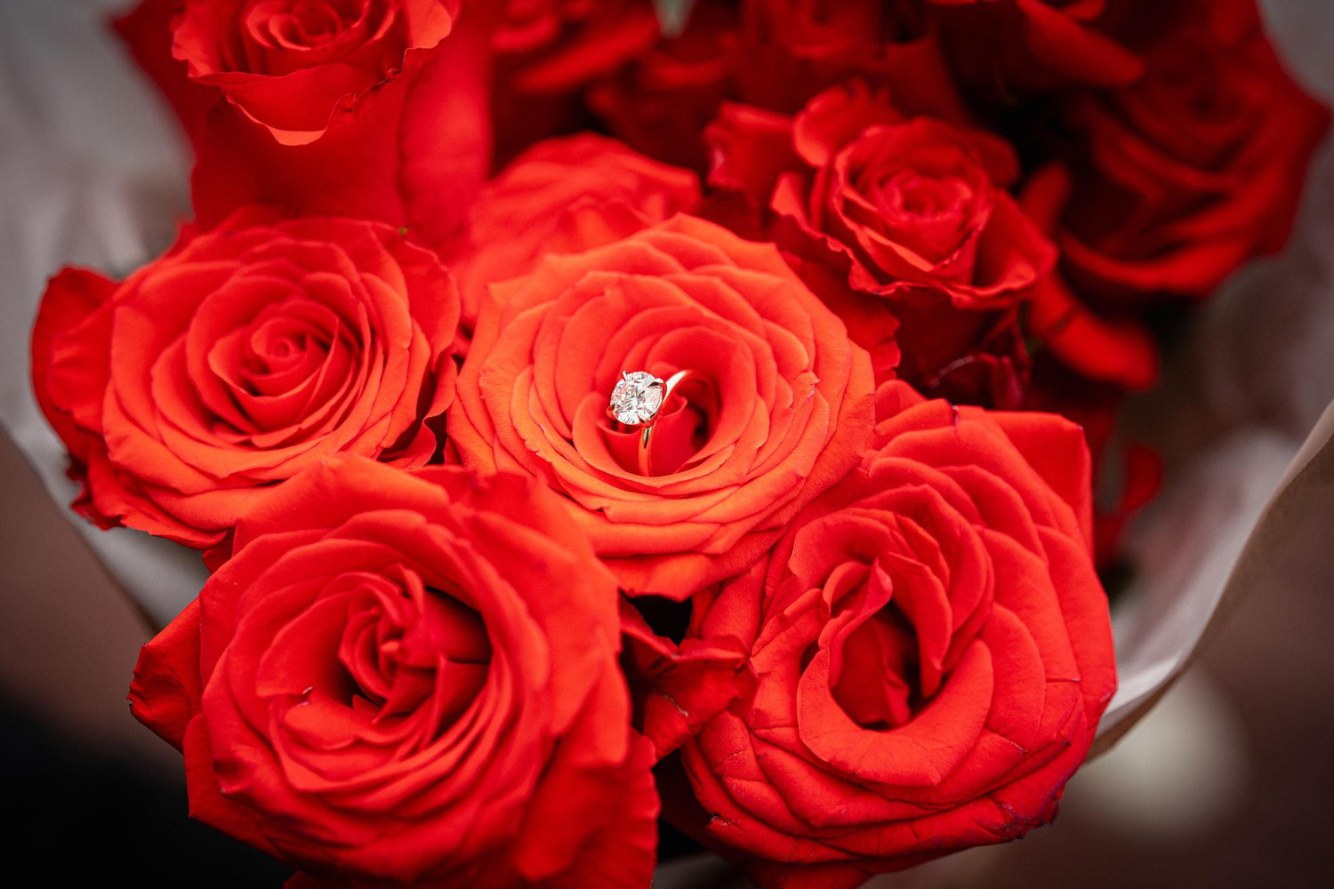 The Wedding Website of Michael kappongo and Sydnee collier