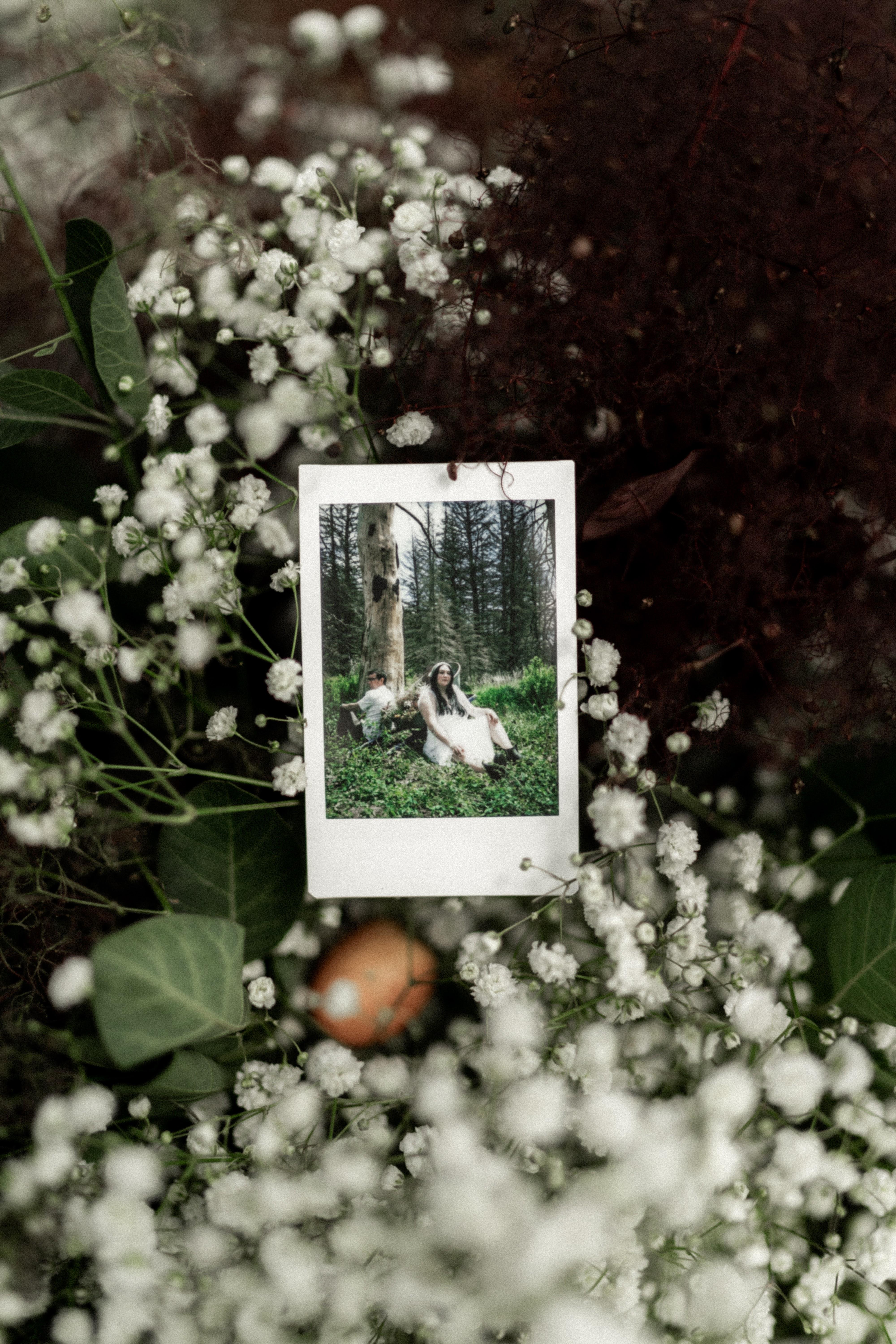 The Wedding Website of Carly Lipke and Austin McKillip
