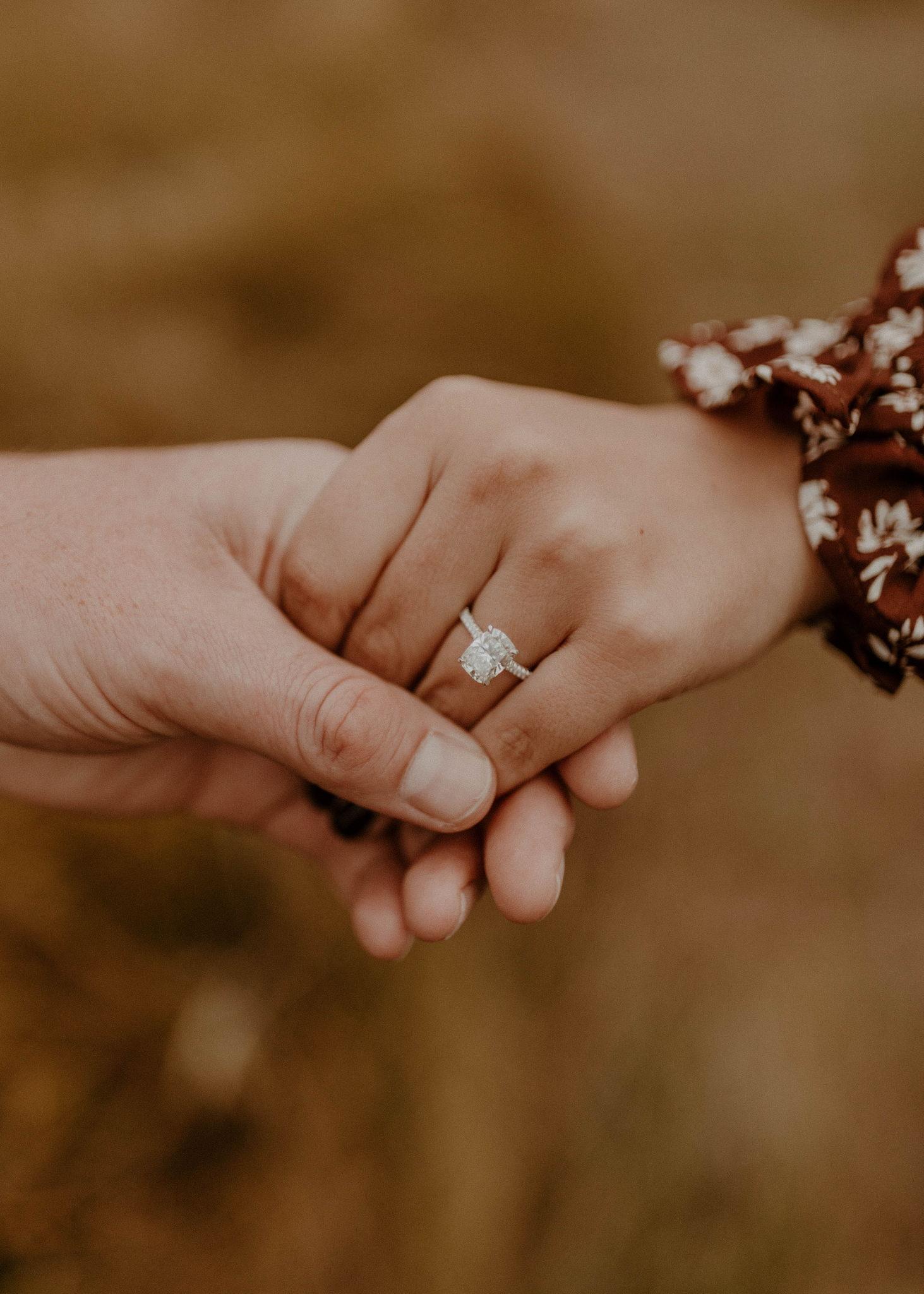 The Wedding Website of Taylor Hudson and Nathan Di Donato