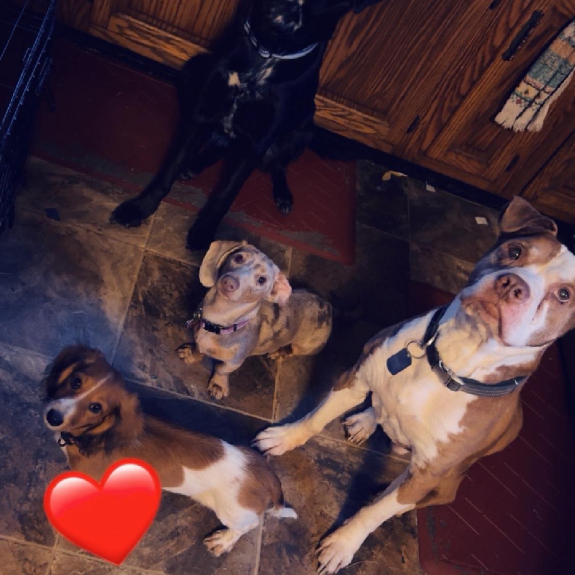 When we had Hercules ❤️