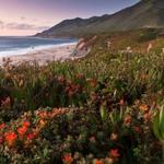 Garrapata State Park