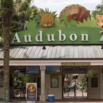 Audubon Zoo