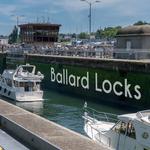 Ballard Locks Fish Ladder
