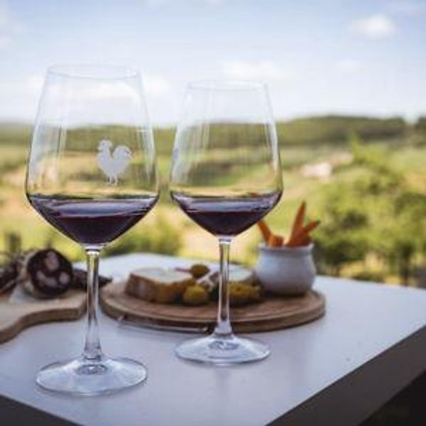 Wine Tasting in Tuscany