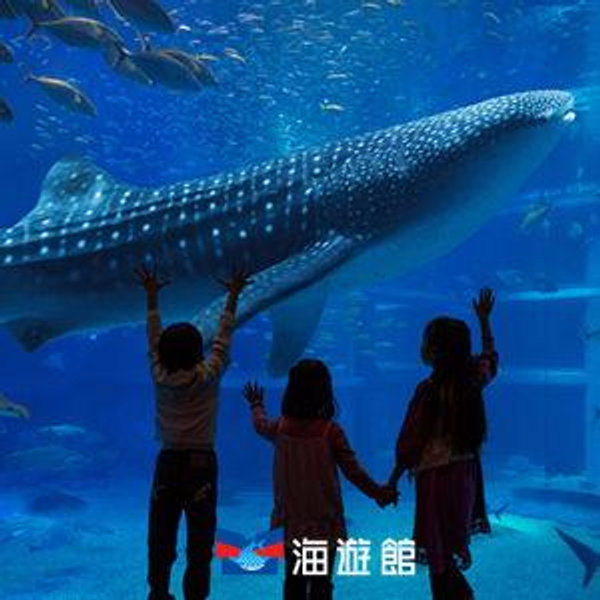 Kaiyukan Aquarium Osaka