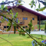 Grand Island Vineyards